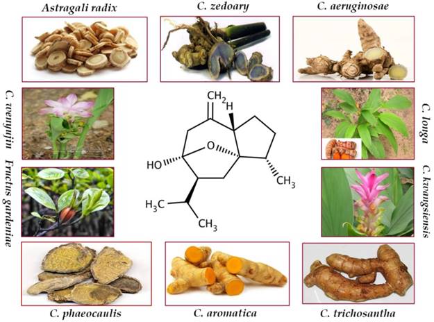 Int J Biol Sci Image