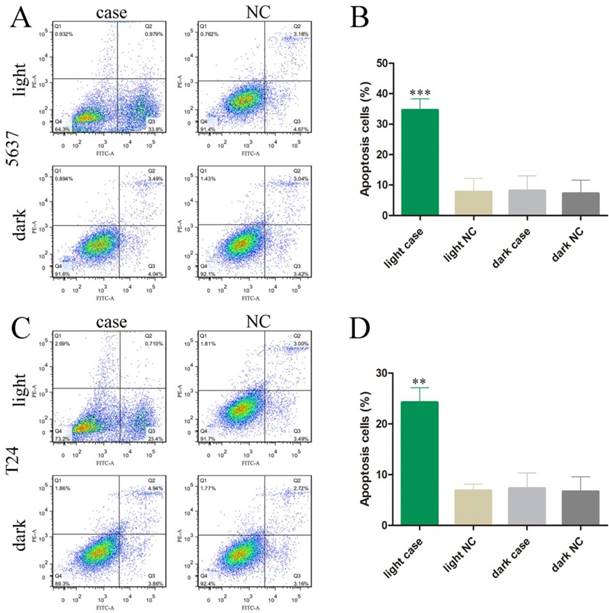 Int J Biol Sci Image