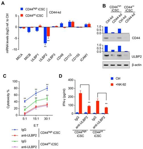 Int J Biol Sci Image