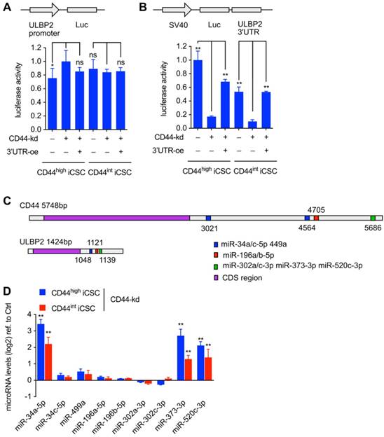 Int J Biol Sci Image