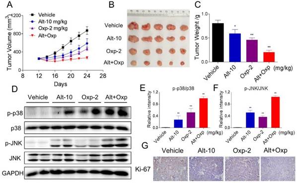 Int J Biol Sci Image