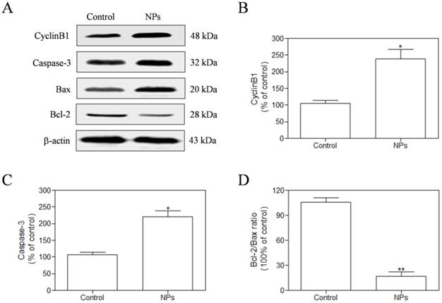 Int J Biol Sci Image