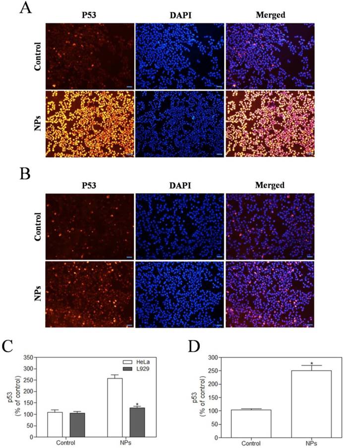 Int J Biol Sci Image