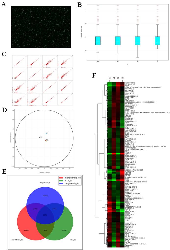 Int J Biol Sci Image