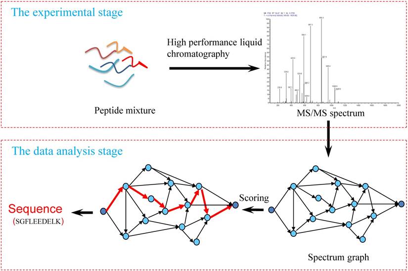 Int J Biol Sci Image