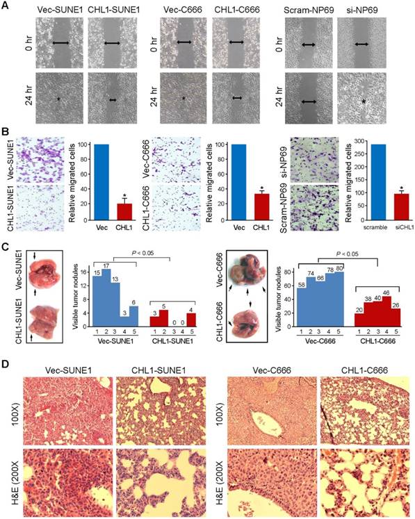 Int J Biol Sci Image