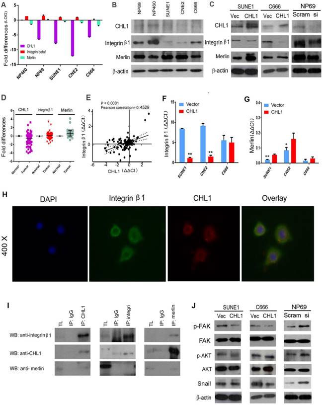 Int J Biol Sci Image