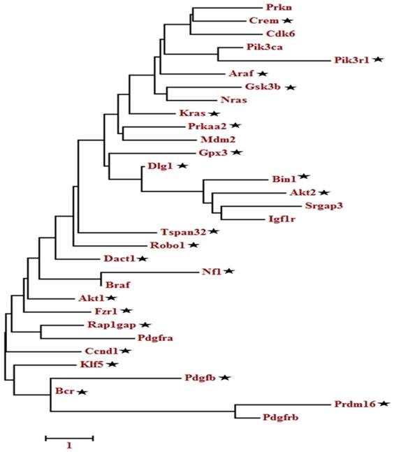 Int J Biol Sci Image