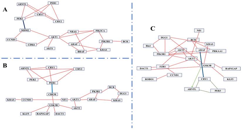 Int J Biol Sci Image