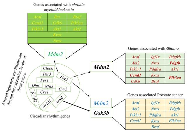 Int J Biol Sci Image