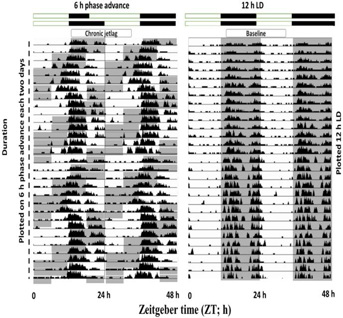 Int J Biol Sci Image