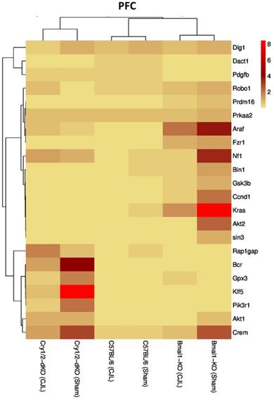 Int J Biol Sci Image