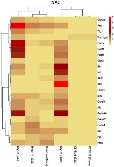 Int J Biol Sci Image