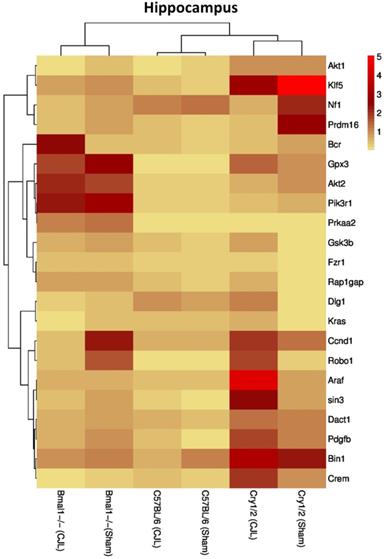 Int J Biol Sci Image