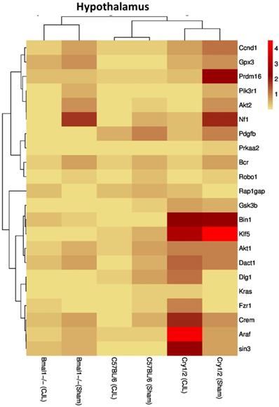 Int J Biol Sci Image