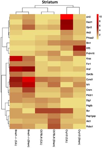 Int J Biol Sci Image