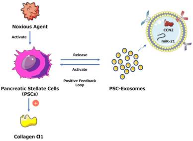 Int J Biol Sci Image