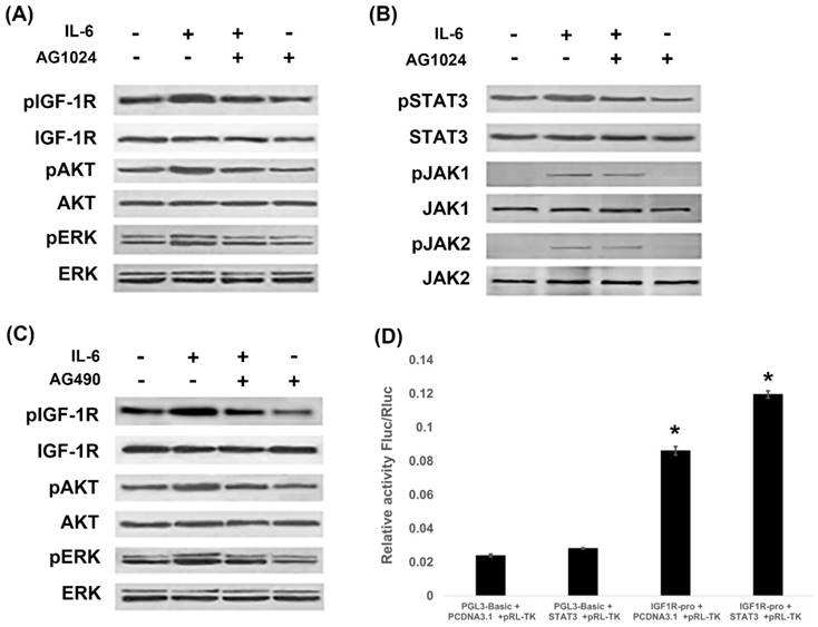 Int J Biol Sci Image