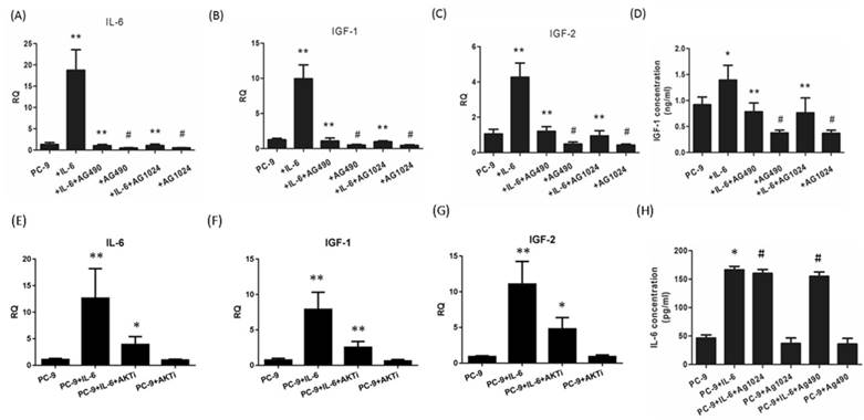 Int J Biol Sci Image