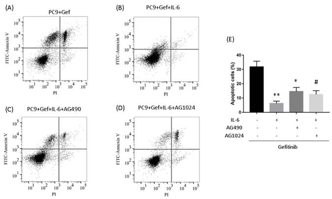 Int J Biol Sci Image