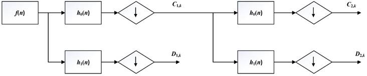 Int J Biol Sci Image