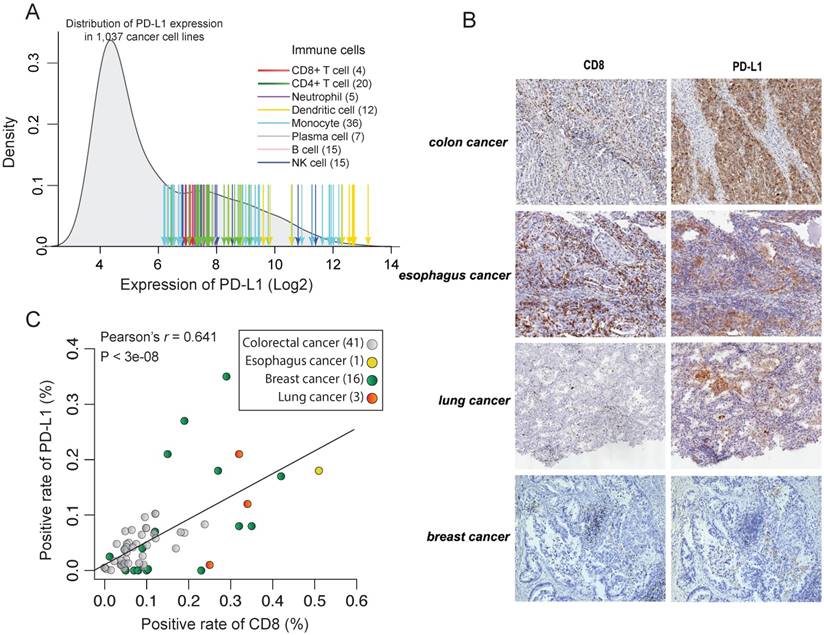 Int J Biol Sci Image