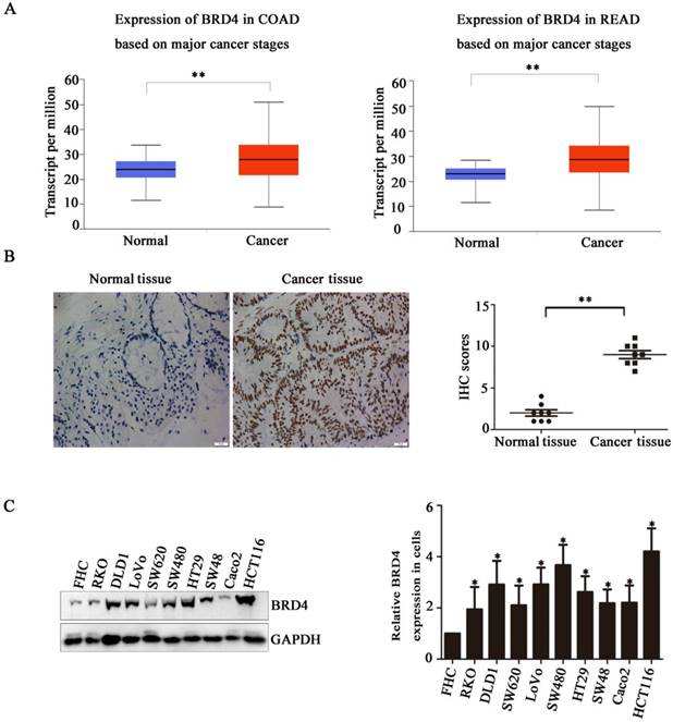 Int J Biol Sci Image