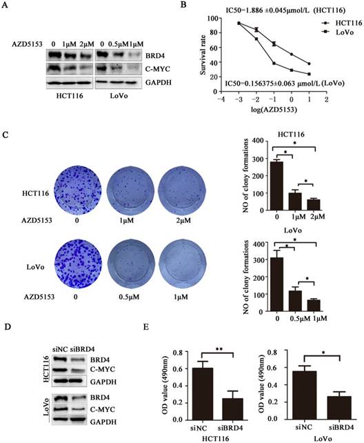 Int J Biol Sci Image