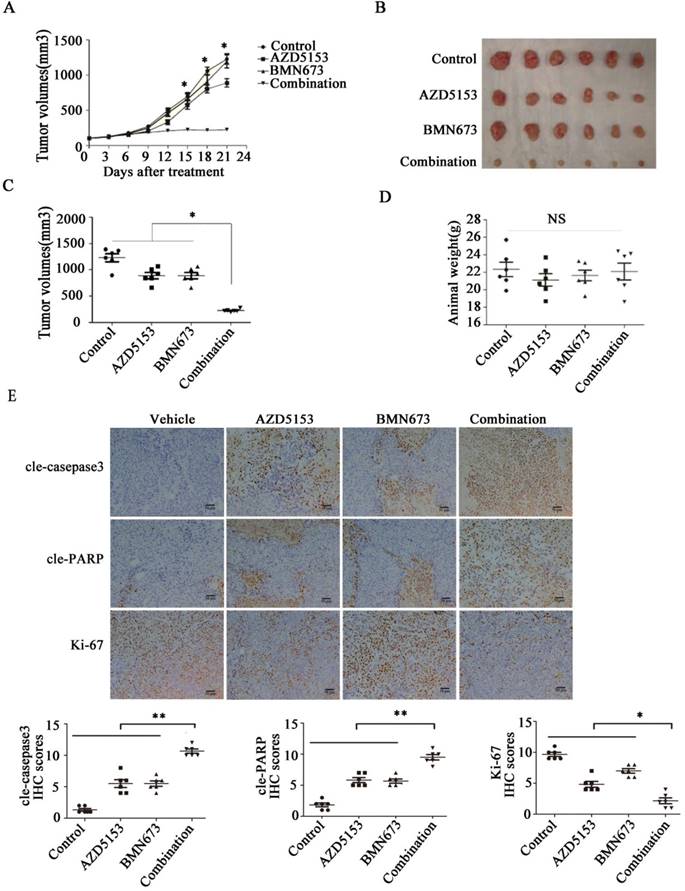 Int J Biol Sci Image