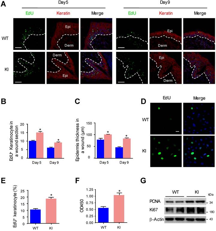 Int J Biol Sci Image