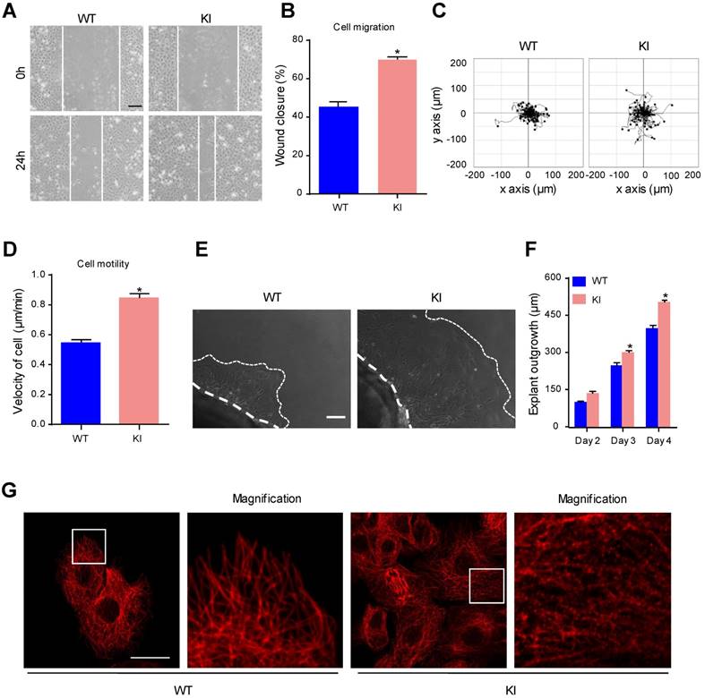 Int J Biol Sci Image