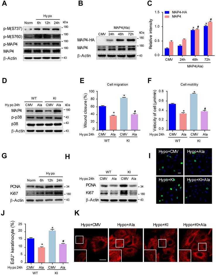 Int J Biol Sci Image