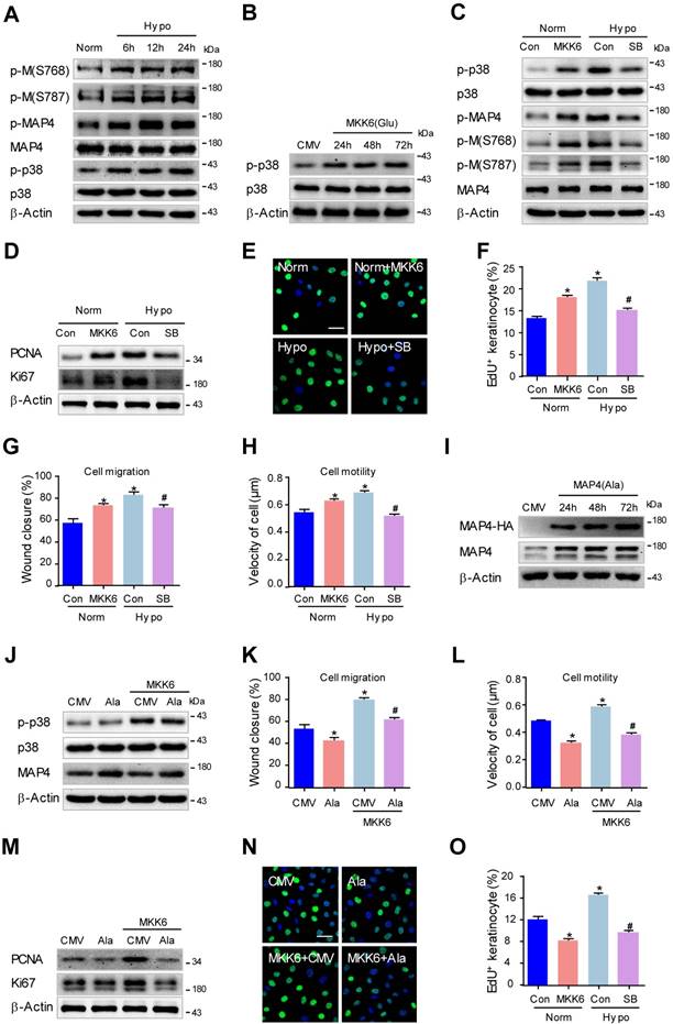 Int J Biol Sci Image