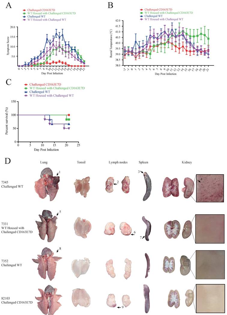 Int J Biol Sci Image