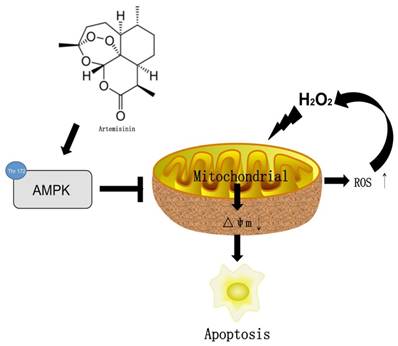 Int J Biol Sci Image