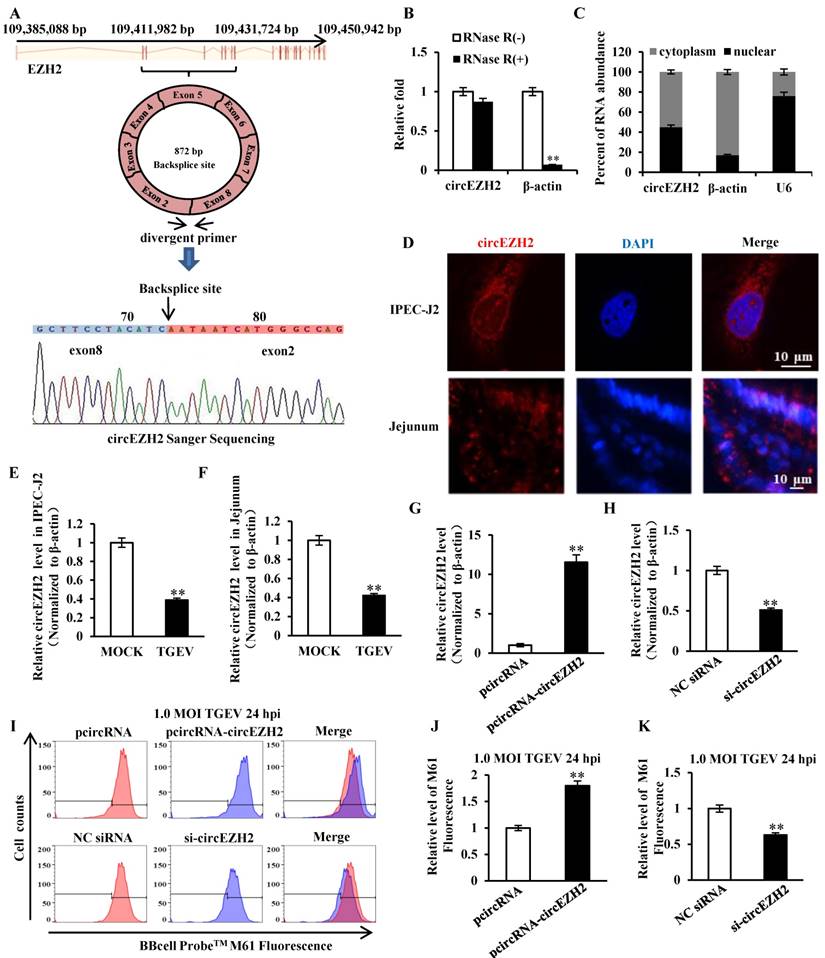 Int J Biol Sci Image