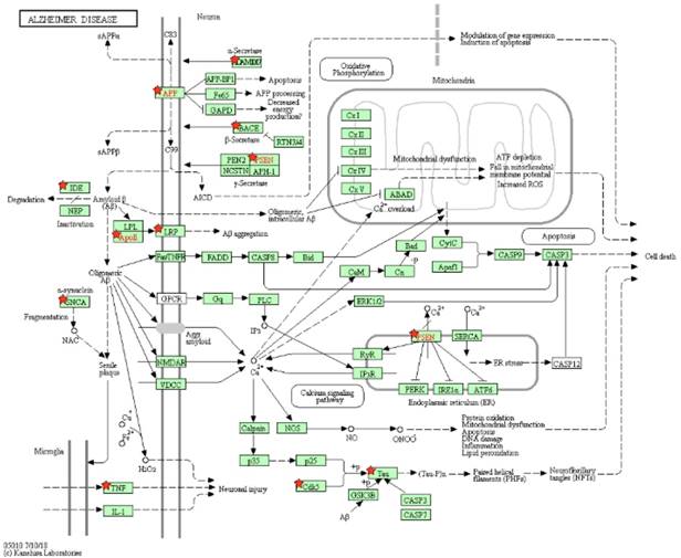 Int J Biol Sci Image