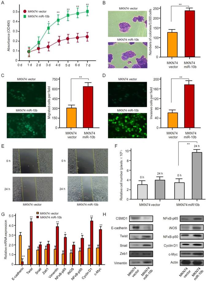 Int J Biol Sci Image