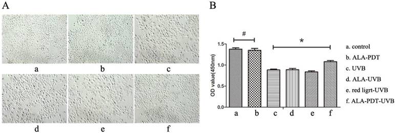 Int J Biol Sci Image