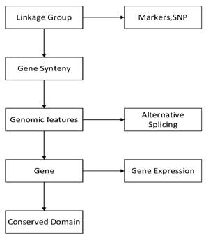 Int J Biol Sci Image