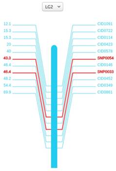 Int J Biol Sci Image