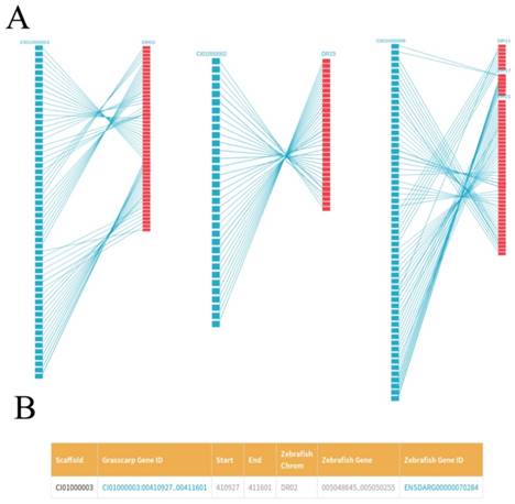 Int J Biol Sci Image