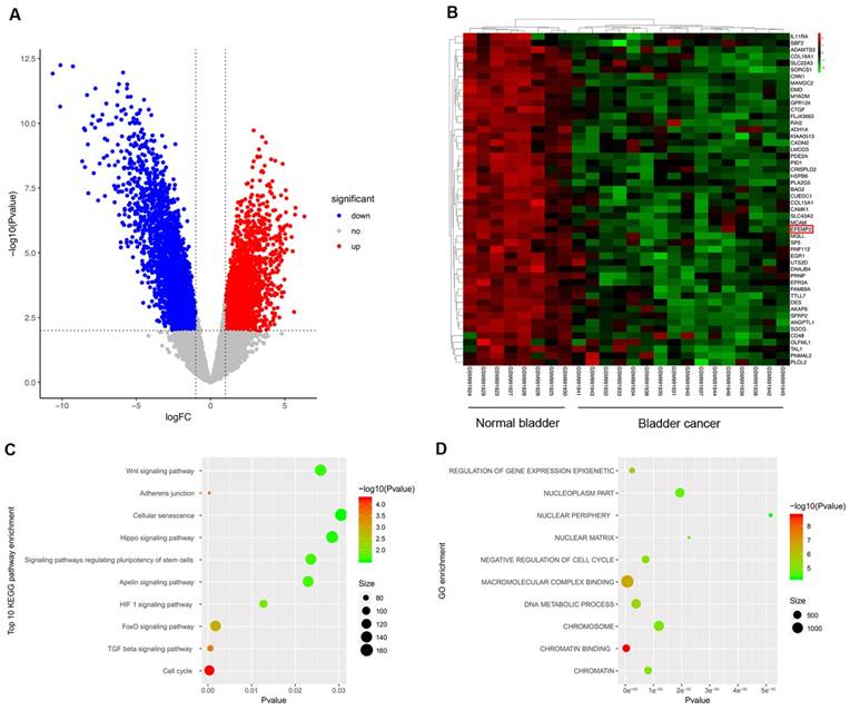 Int J Biol Sci Image