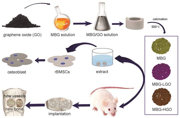 Int J Biol Sci Image