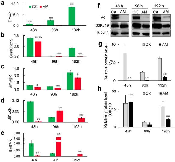 Int J Biol Sci Image