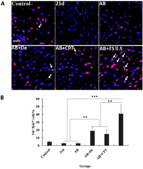 Int J Biol Sci Image