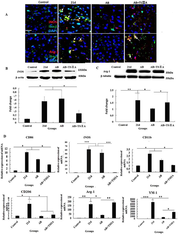 Int J Biol Sci Image