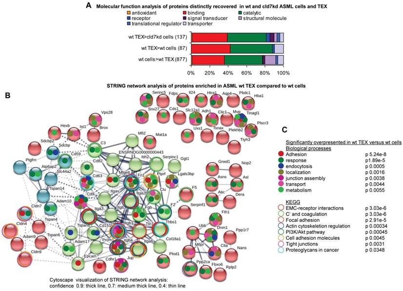 Int J Biol Sci Image