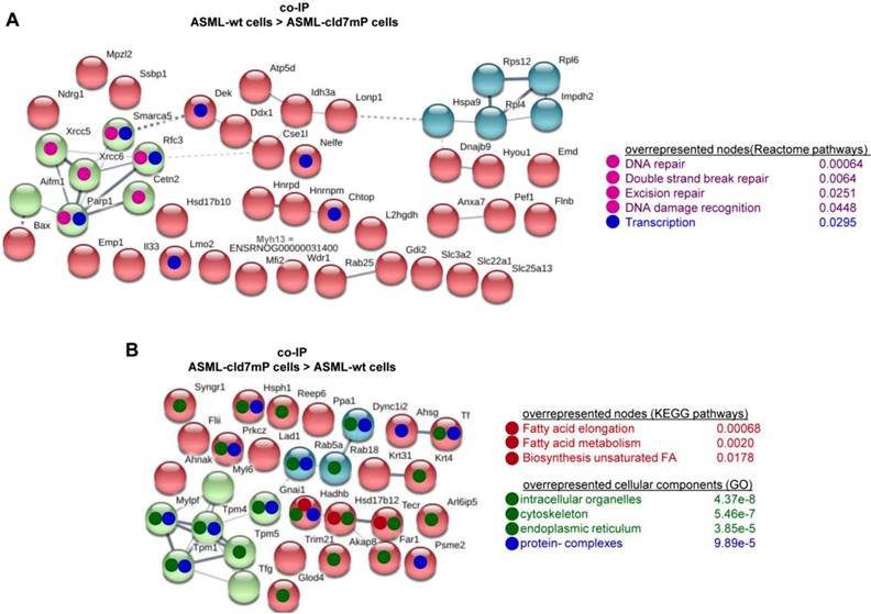 Int J Biol Sci Image