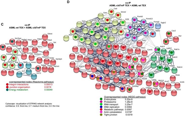 Int J Biol Sci Image